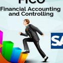 What are the Job Prospects of SAP FI (Financial Accounting)?