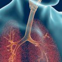 Experience of using the drug Spiriva in the treatment of patients with COPD