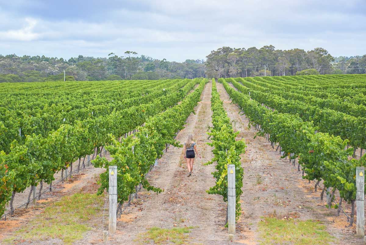 A Guide to Deciding on a Margaret River Tours